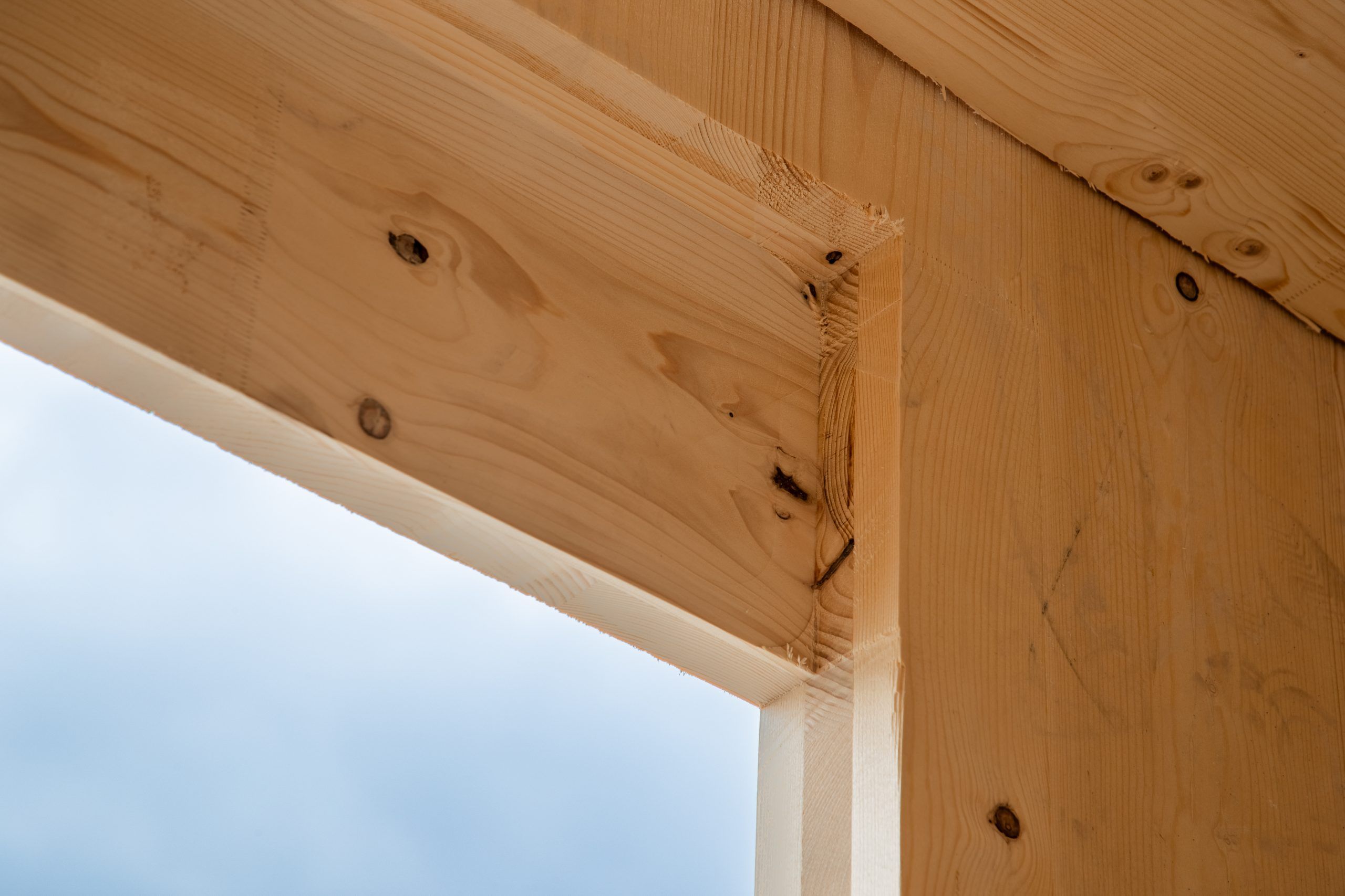 Du CLT pour la reconstruction d’un bâtiment parisien