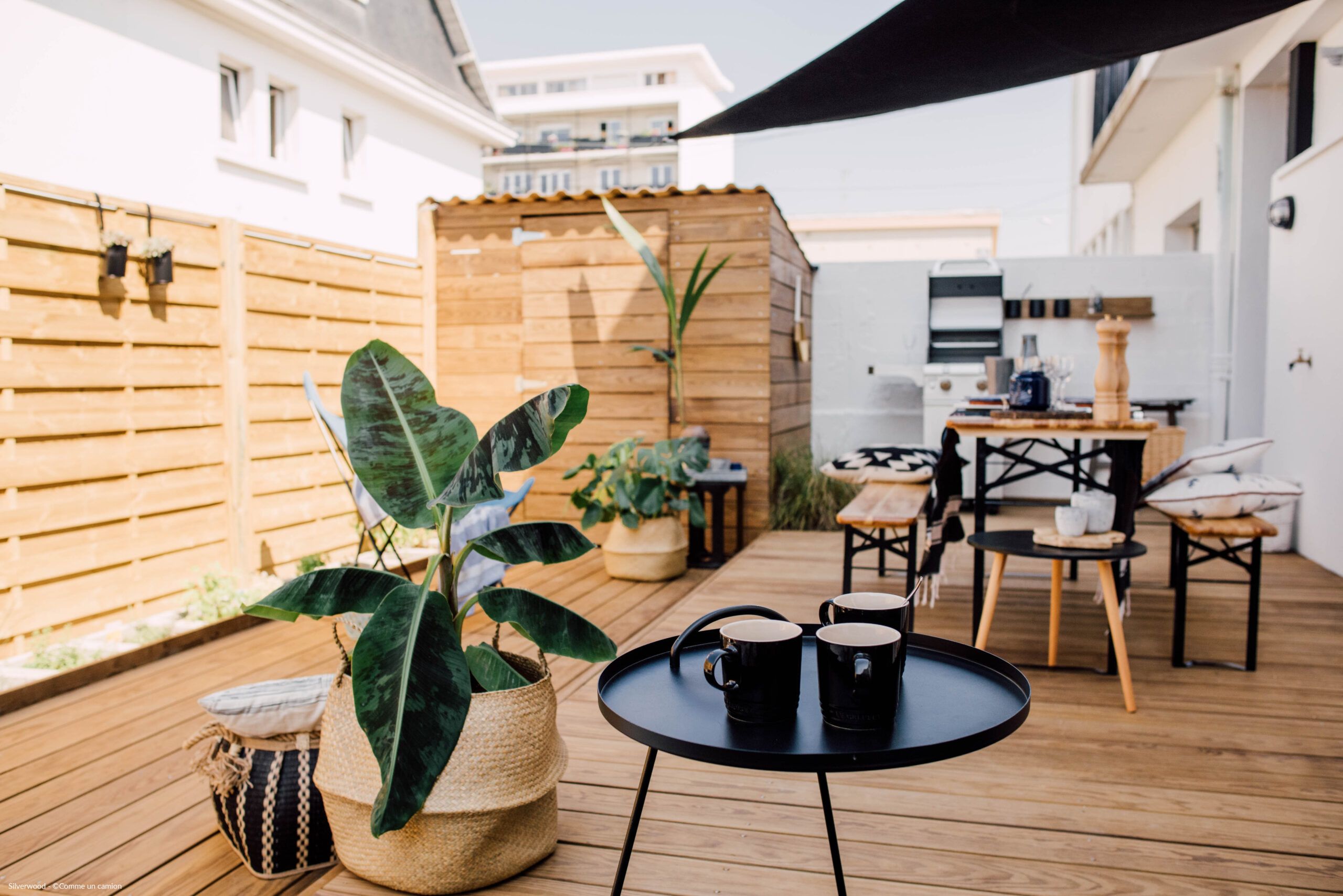 Terrasse Yellow Pine