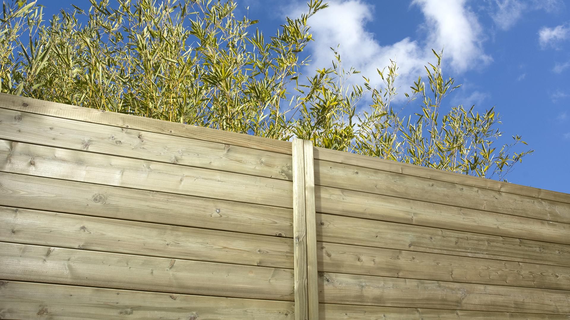 Zoom clôture préservée vert